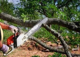 Best Seasonal Cleanup (Spring/Fall)  in Oaklawn Sunview, KS